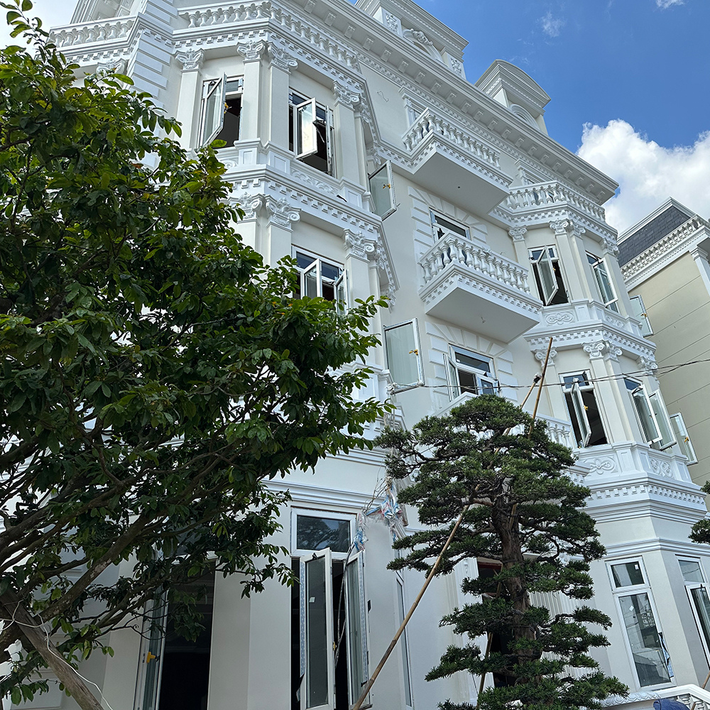 Biệt thự Định Quán